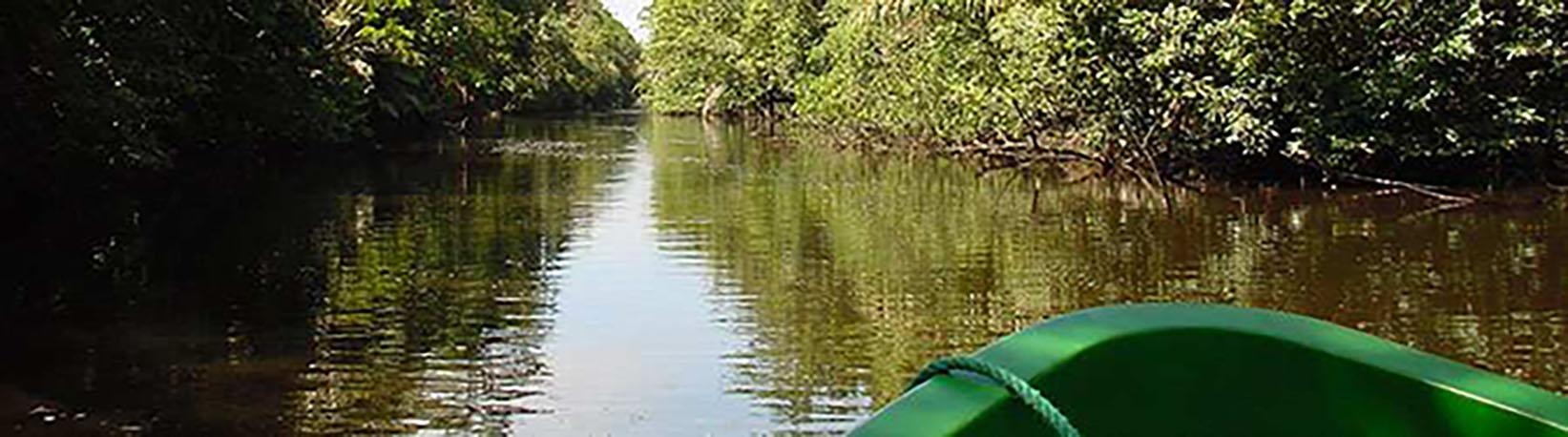 Tortuguero Costa Rica 2 Day Expedition Tour 5