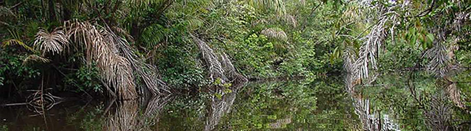 Tortuguero Costa Rica 2 Day Expedition Tour 6