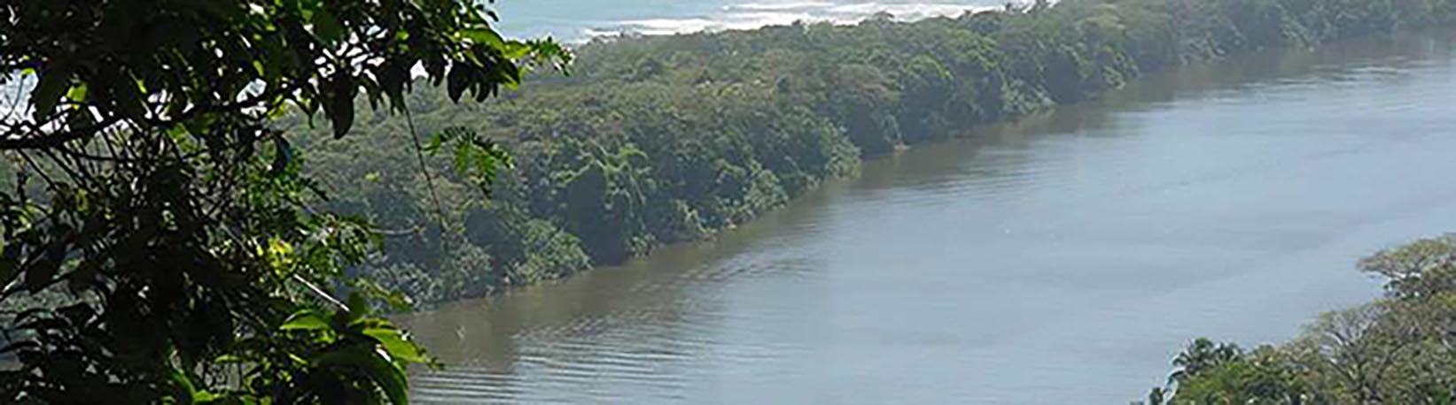 Tortuguero Costa Rica 2 Day Expedition Tour 7