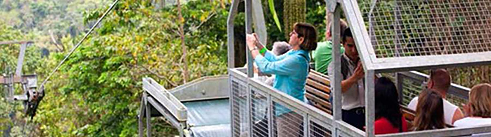 Veragua Rainforest Aerial Tram, Park, + The Original Canopy Tour Tour 1