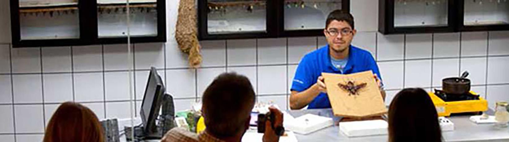 Veragua Rainforest Aerial Tram, Park, + The Original Canopy Tour Tour 2