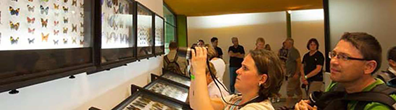 Veragua Rainforest Aerial Tram, Park, + The Original Canopy Tour Tour 3