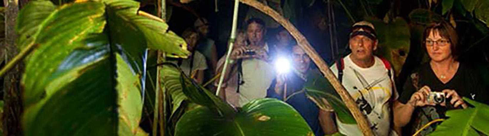 Veragua Rainforest Aerial Tram, Park, + The Original Canopy Tour Tour 4