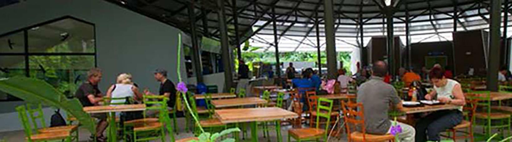 Veragua Rainforest Aerial Tram, Park, + The Original Canopy Tour Tour 5