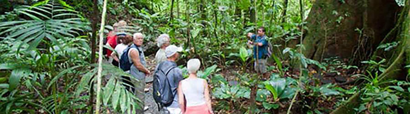 Veragua Rainforest Aerial Tram, Park, + The Original Canopy Tour Tour 6