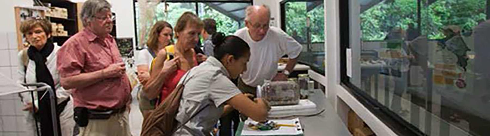 Veragua Rainforest Aerial Tram, Park, + The Original Canopy Tour Tour 7