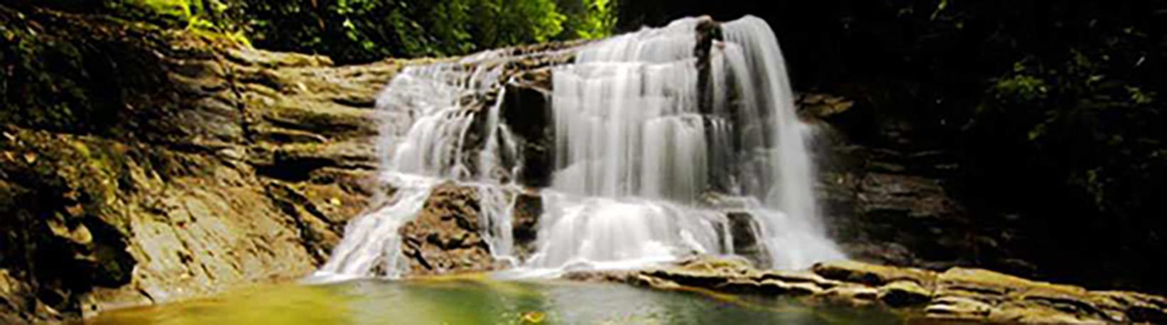 Veragua Rainforest Aerial Tram, Park, + The Original Canopy Tour Tour 8