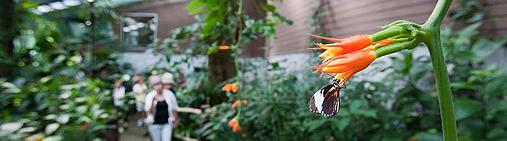 Veragua Rainforest Aerial Tram and Nature Park Tour 1