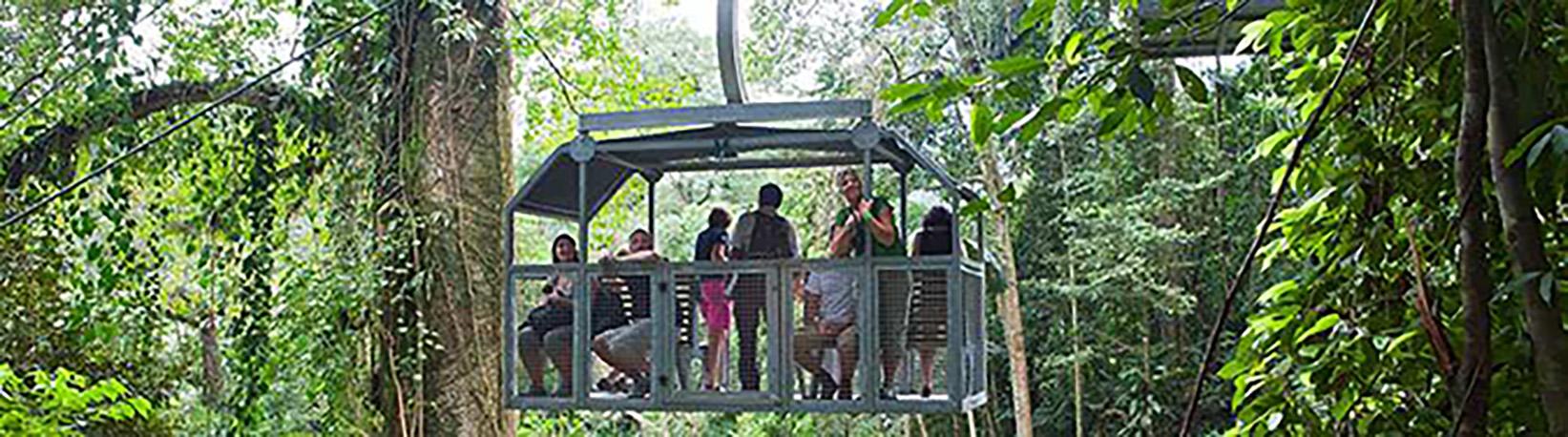 Veragua Rainforest Aerial Tram and Nature Park Tour 2