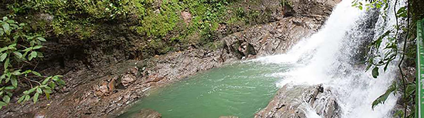 Veragua Rainforest Aerial Tram and Nature Park Tour 4