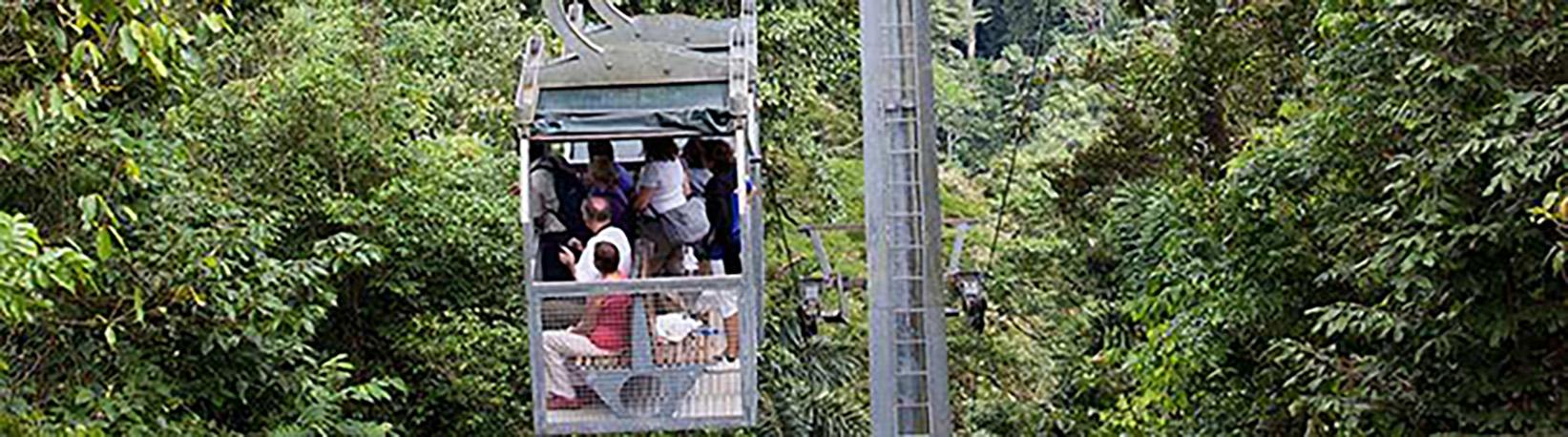 Veragua Rainforest Aerial Tram and Nature Park Tour 5
