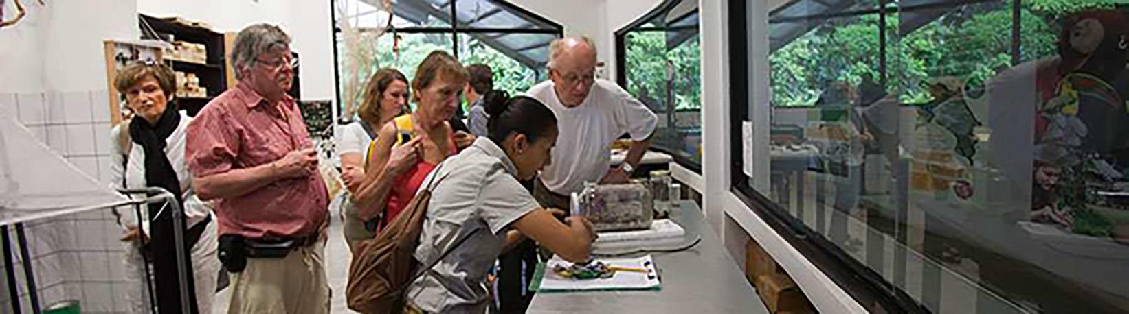 Veragua Rainforest Aerial Tram and Nature Park Tour 6