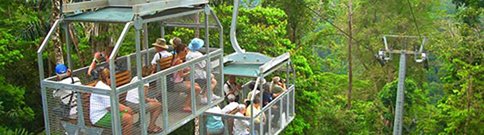 Veragua Rainforest Aerial Tram and Nature Park Tour 8