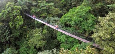 Arenal Hanging Bridges + La Fortuna Waterfall Hike