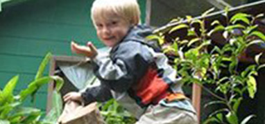 Childrens Rainforest Tour