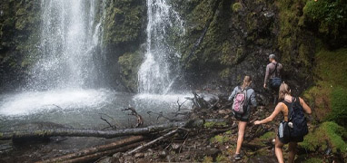 El Burrito Mountain & Waterfall Trail + Children’s Eternal Rainforest Hike