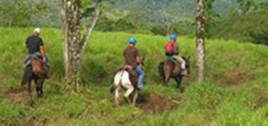 Arenal Volcano & La Fortuna Waterfall Horseback Ride