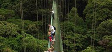 Monteverde Cloud Forest Tour Experience