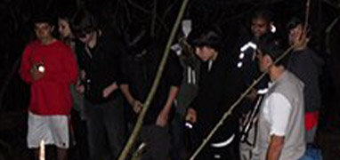 Night Jungle Walk Tour at Danaus Eco Center