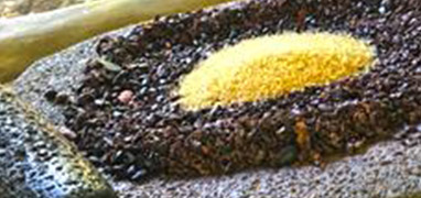 Rainforest Chocolate Tour Costa Rica