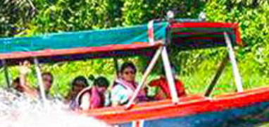 Tortuguero Shuttle (Land & Water Transfer)