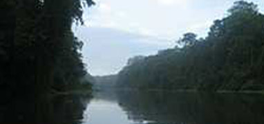 Tortuguero Costa Rica 2 Day Expedition