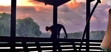 Tortuguero Overnight + Pacuare River Rafting from Arenal