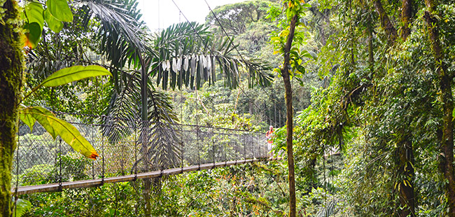 2 Hour Express Arenal ATV Tour