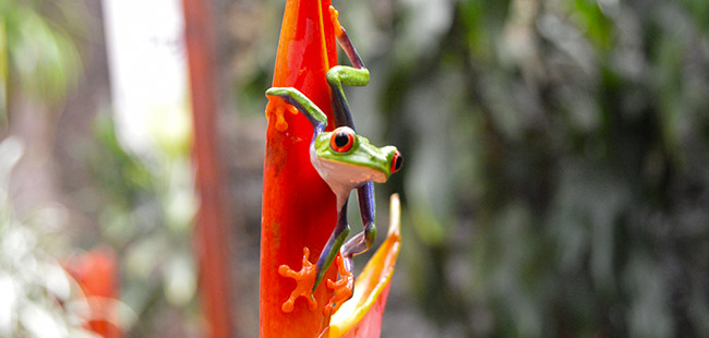 Arenal ATV + Balsa River Rafting in Costa Rica