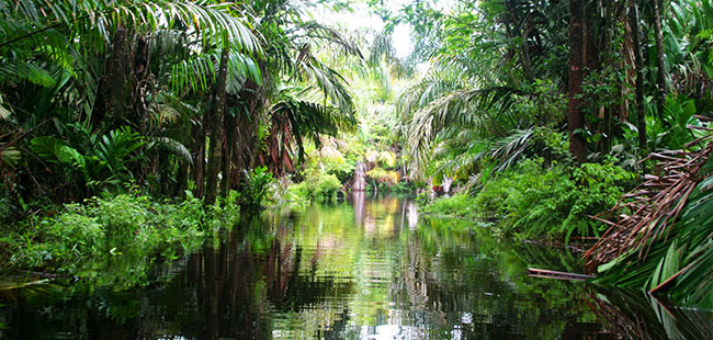 2 Hour Express Arenal ATV Tour