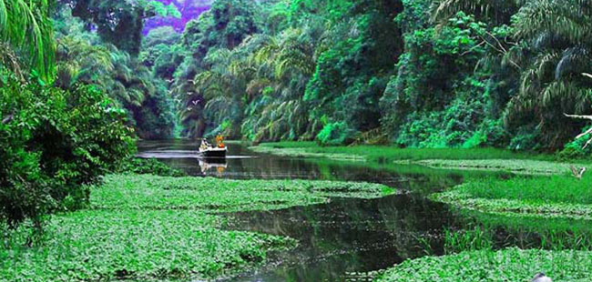 La Guaria Farm ATV Tour
