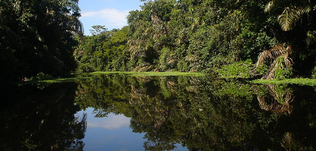 La Vista Arenal ATV Tour